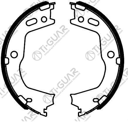 Тормозные колодки (РУЧНОГО ТОРМОЗА) TG-4521/FN0666* Ti·GUAR (комплект 4шт.)